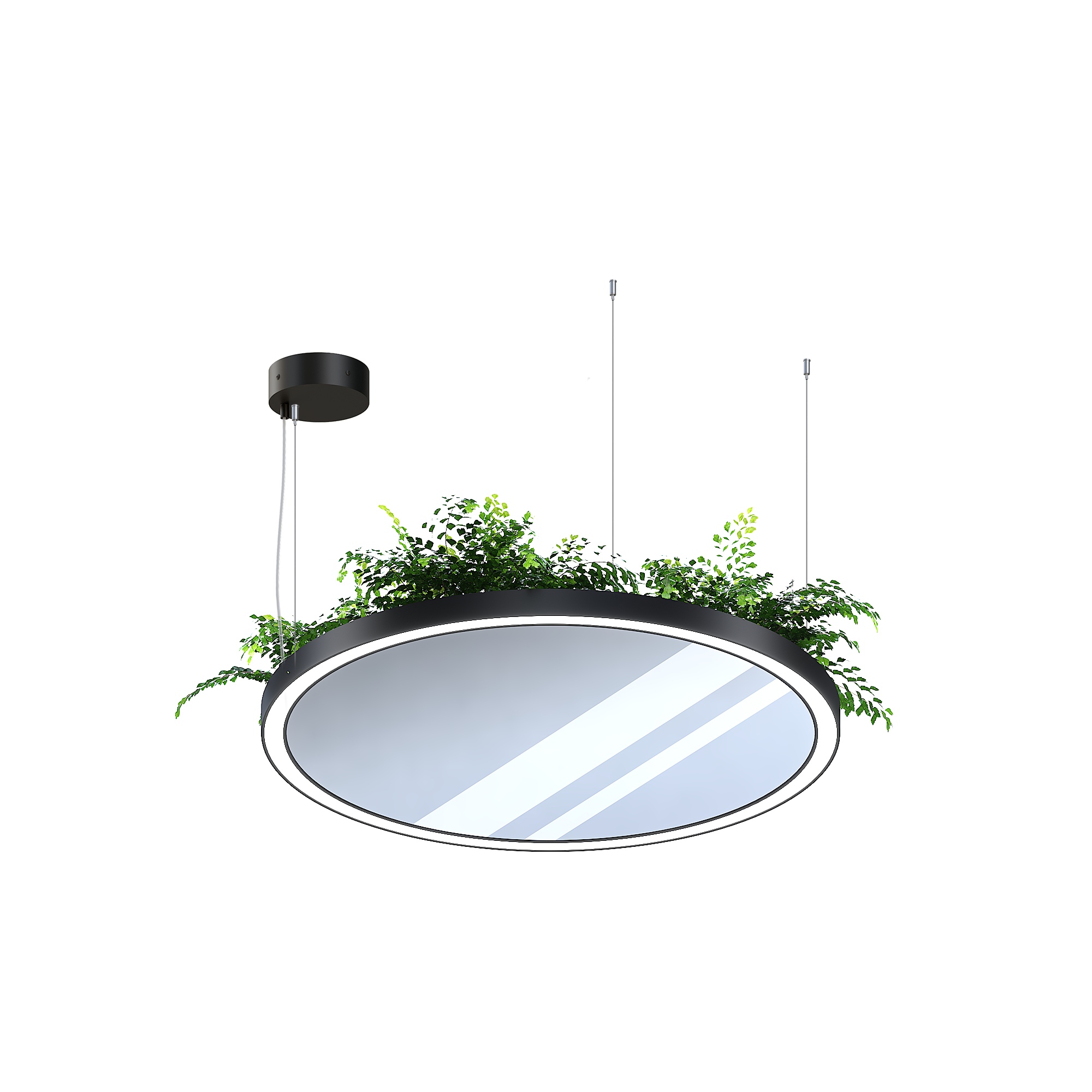podvesnoi-svetilnik-plant-mirror-183